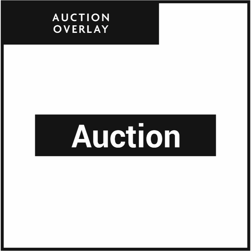 Auction Overlay | Exp