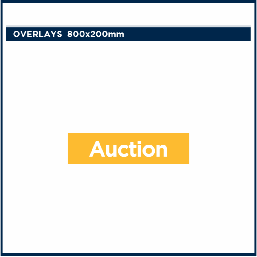 Commercial Sale Type Overlays | Bayleys